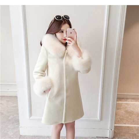 Winter New Women's Warm Fur Coat, Faux Fur Faux Fur Hooded Mid-length